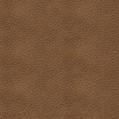 Bolsena Sofa Sleeper - House Of Furniture/Allan's Gallery