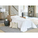 BAYMENT CHAIR & HALF W/MEMORY FOAM SLEEPER- C13MTDW - House Of Furniture/Allan's Gallery