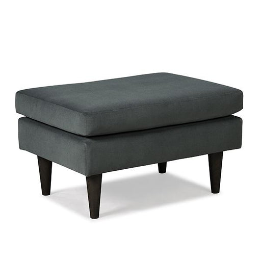 F10 LEATHER OTTOMAN- F10BNLU image