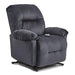 WYNETTE POWER LIFT RECLINER- 9MW11-1 - House Of Furniture/Allan's Gallery