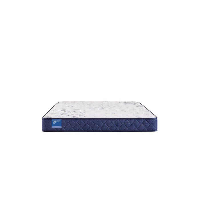 Resting Manor Foam Mattress