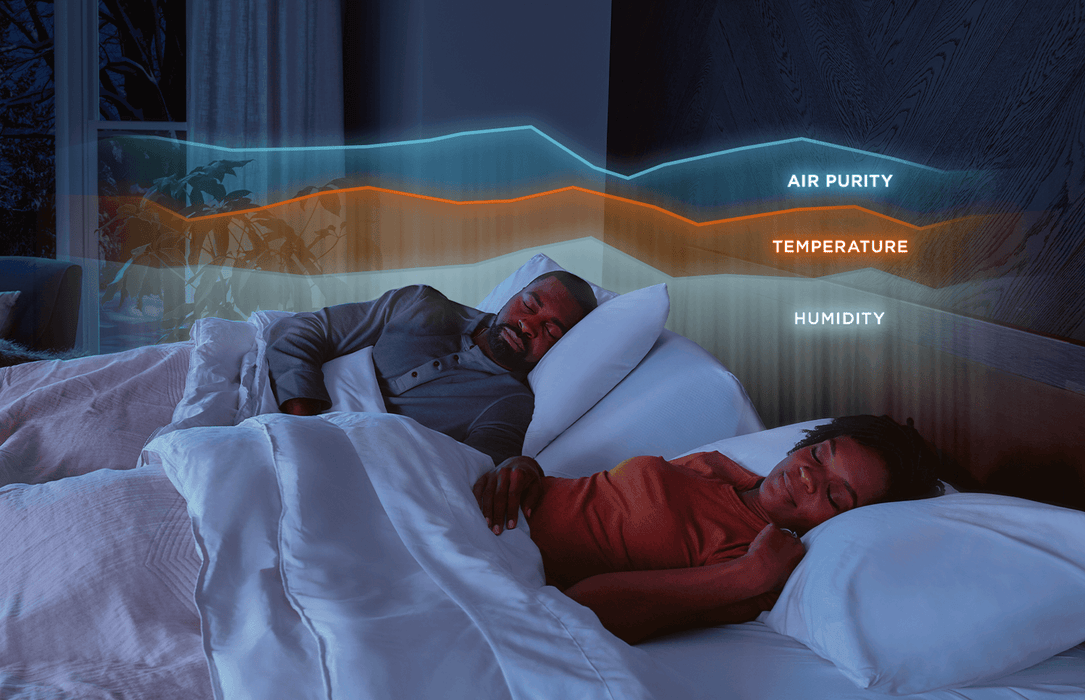 Tempur-Ergo Smart Base - House Of Furniture/Allan's Gallery