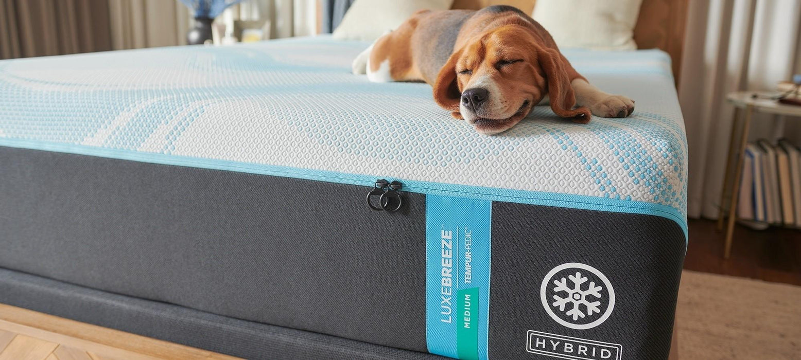 Tempur-Pedic LuxeBreeze Medium Hybrid Mattress - House Of Furniture/Allan's Gallery