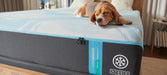 Tempur-Pedic LuxeBreeze Medium Hybrid Mattress - House Of Furniture/Allan's Gallery