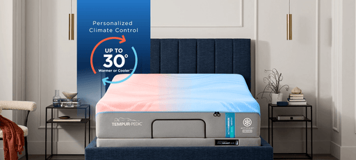 Tempur-Ergo ProSmart Air - House Of Furniture/Allan's Gallery