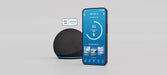Tempur-Ergo ProSmart Base - House Of Furniture/Allan's Gallery