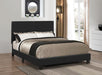 Mauve Upholstered Platform Black Full Bed image