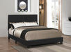 Mauve Upholstered Platform Black Queen Bed image