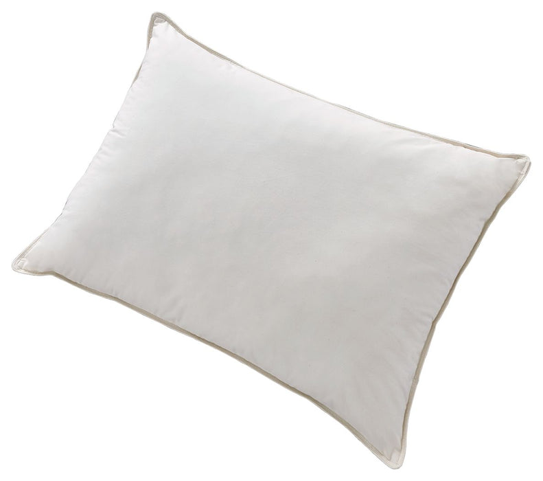 Z123 - Cotton Allergy Pillow (4/cs)